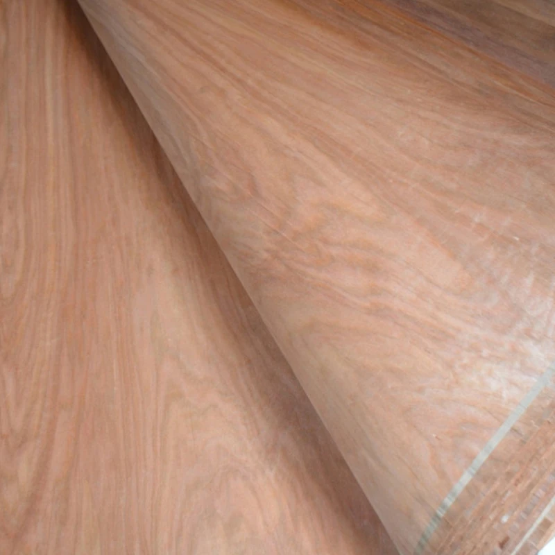 pq-veneer-1